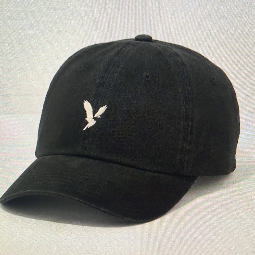 AEO Baseball Hat